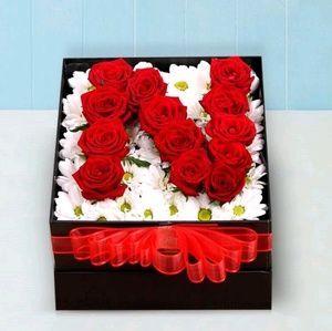 Meet your Posher, Ergasheva